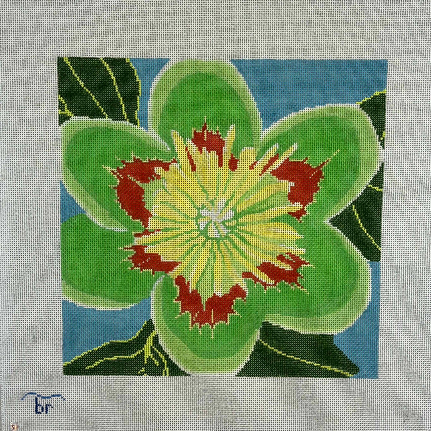Tulip Poplar Blossom