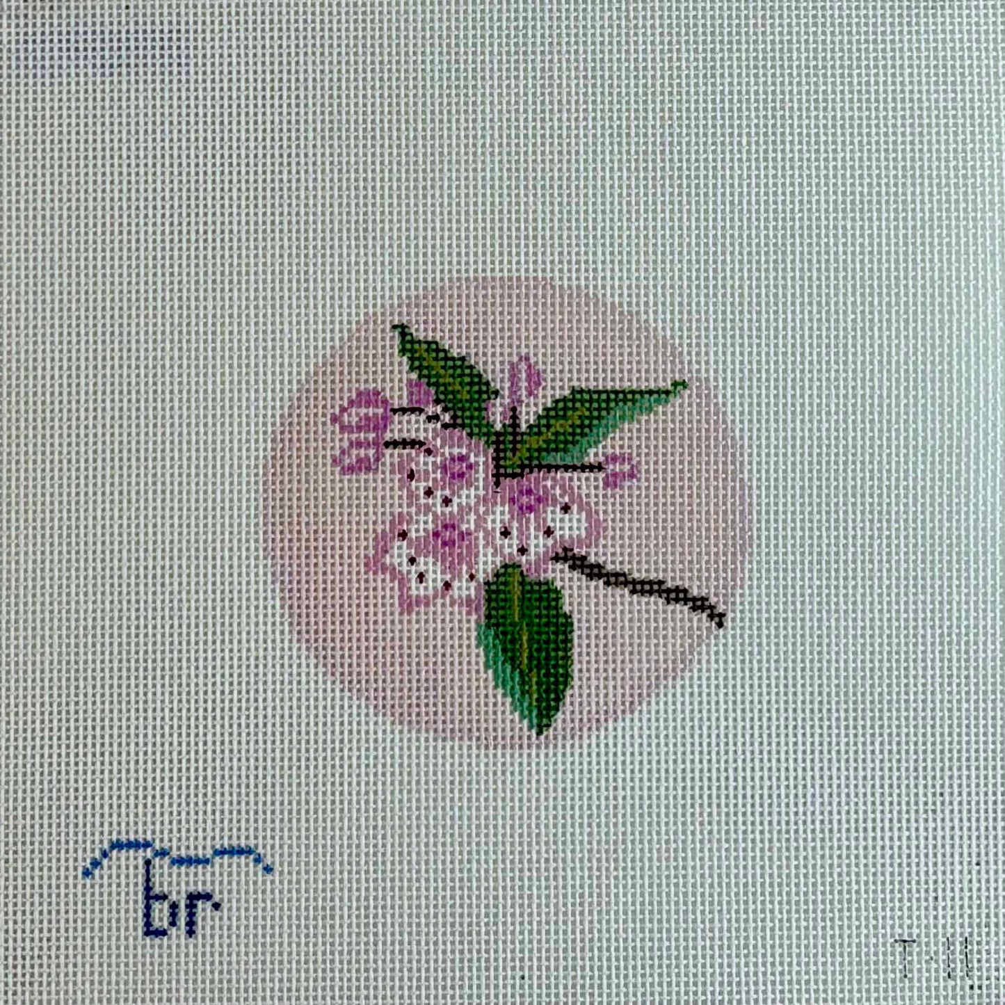 Mountain Laurel