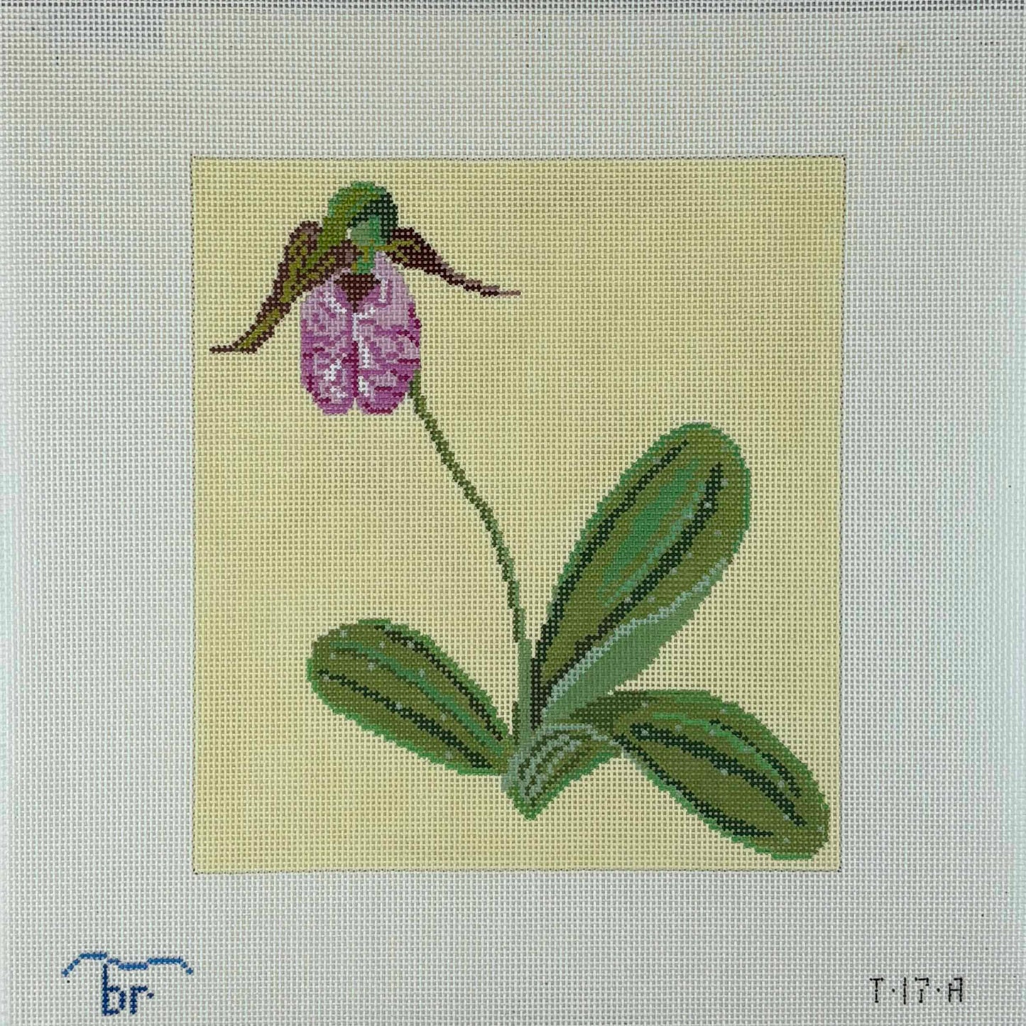 Pink Lady's Slipper - 13 mesh
