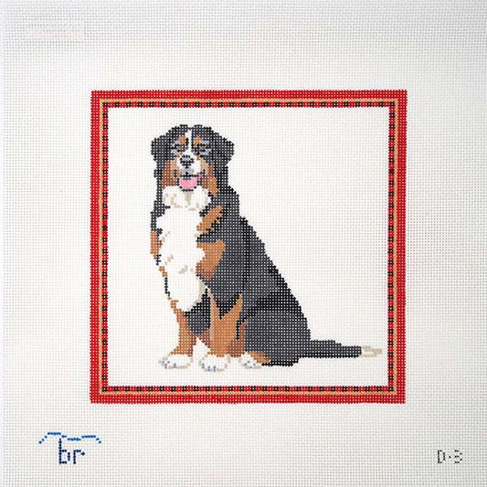 Bernese Mountain Dog