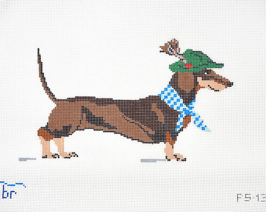 Dackel (dachshund) on 13 mesh