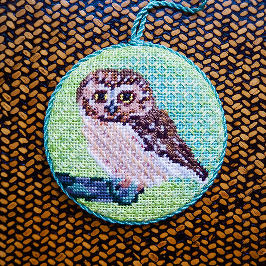 Saw Whet Owl
