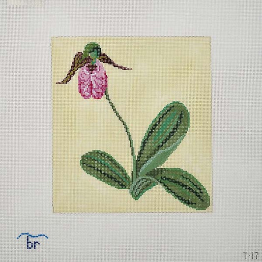 Pink Lady's Slipper - 18 mesh