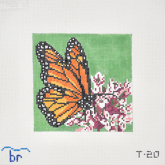 Monarch on Milkweed